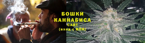 прущие грибы Весьегонск